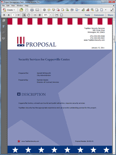 cctv proposal document sample pdf